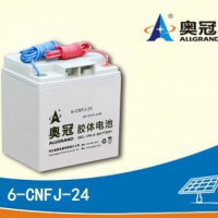 光伏储能电池6-CNFJ-24