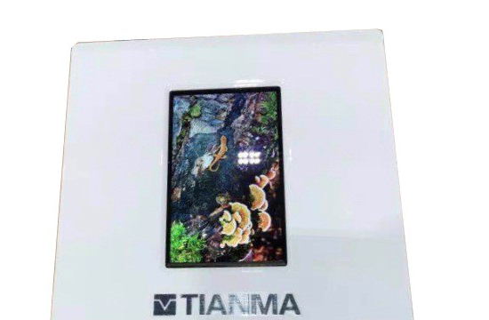 天马微电子携全新产品重磅亮相DISPLAY CHINA 2019